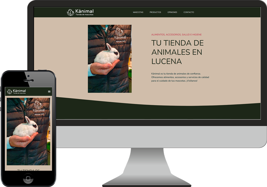 diseño pagina web en lucena