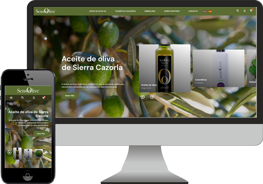 diseño pagina web lucena